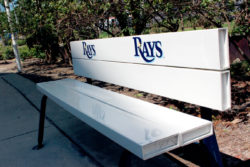 Tampa Bay Rays logo bench stickers