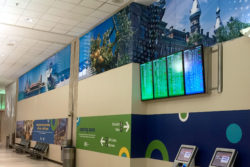 Airport Wall Wrap