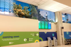 Airport Wall Wrap