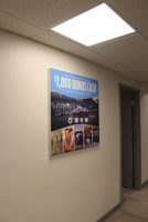 Ferman-Ford-Tension-Display-5