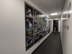 NYY-Collage-Wall-Graphic