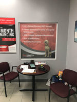 Sun-Toyota-Window-Graphic-Collision-Center4-2