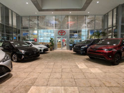 Sun-Toyota-Window-Graphic-Entry-1