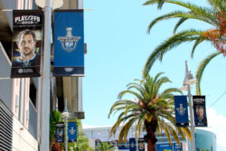 TBL-Arena-Pole-Banners